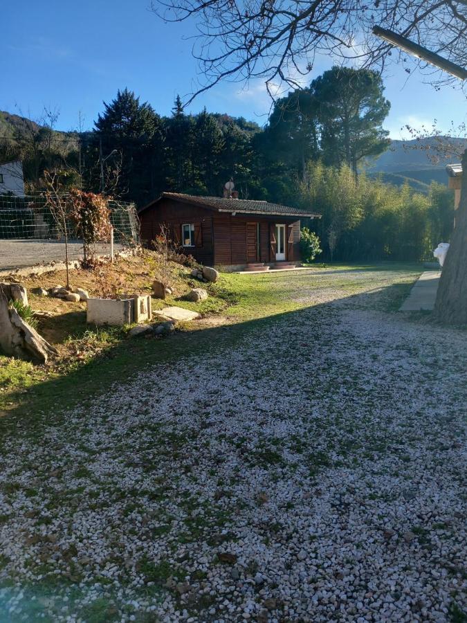 Petit Chalet En Bois Reynès Exterior foto